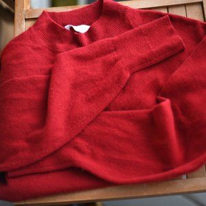 Everlane Cashmere Crop Mockneck Sweater in Red